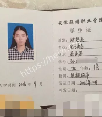职业学院