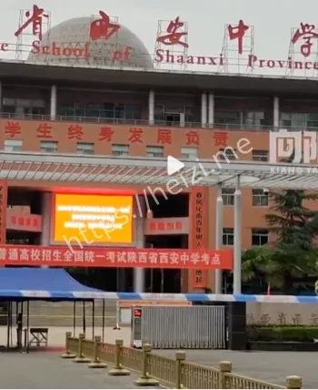 绿色通道