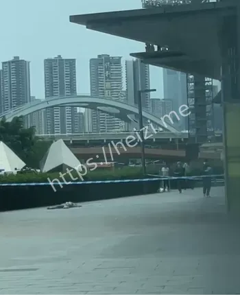 欢乐海岸悲剧