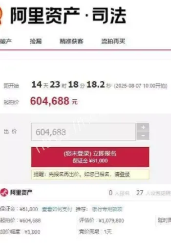 阿里法拍平台