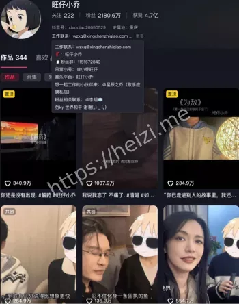 不露脸演唱会
