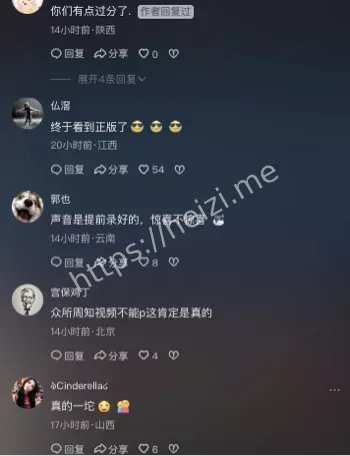 不露脸演唱会