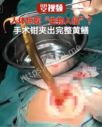 虎口夺食