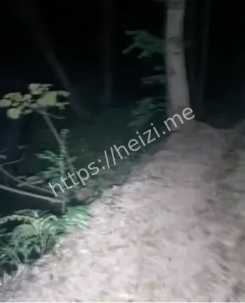 离奇坠死