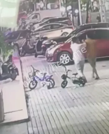 停车纠纷