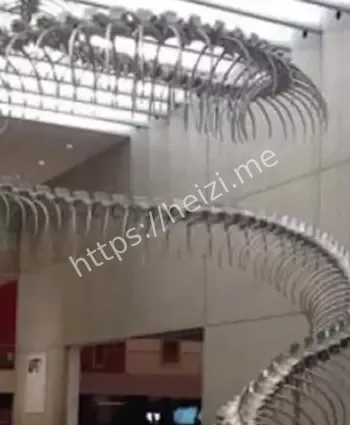 电闪雷鸣