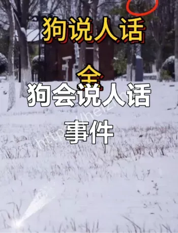 1983年四川