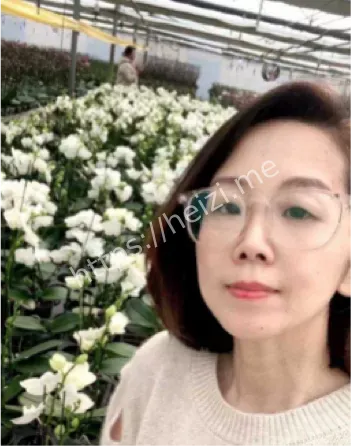 不雅视频