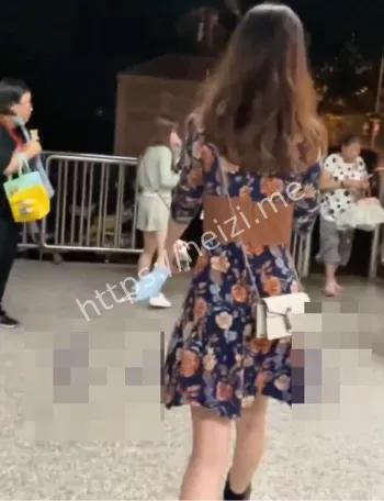 合集
