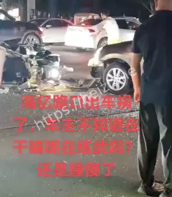 撞傻了