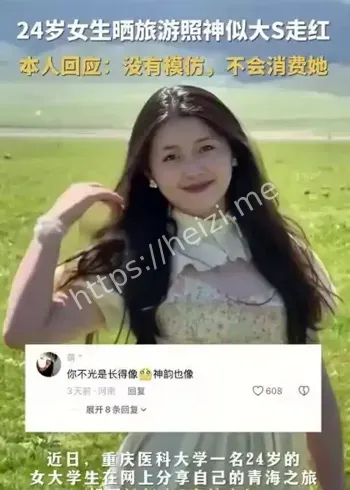 酷似大S