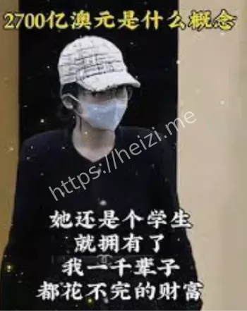 悉尼庭审真相