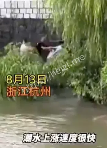 杭州涨潮