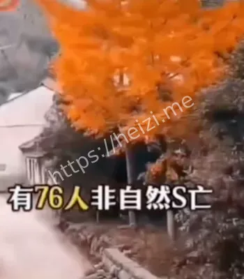 温州怪事