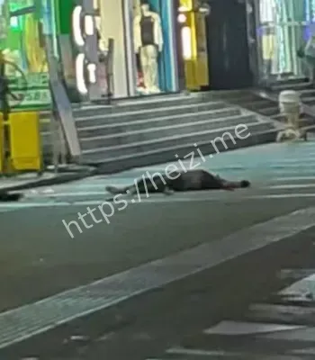 男子高空掷灭火器