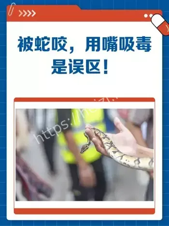 蛇咬伤急救迷信