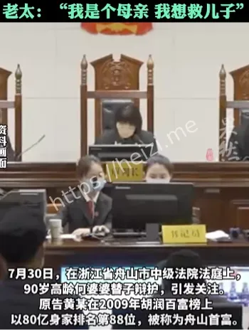 90岁母亲辩护