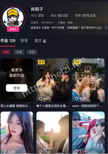 抖音肖粽子被绿