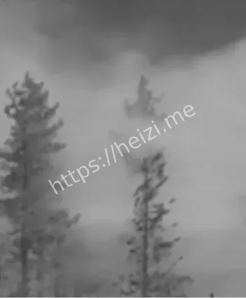 科学史奇案