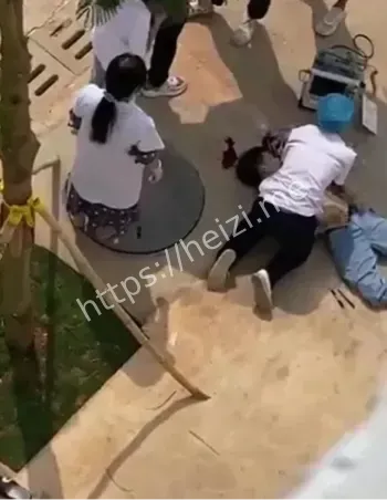 浙大博导