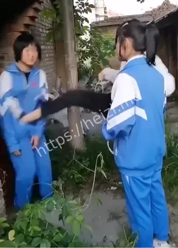 校园霸凌