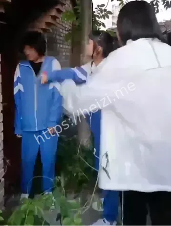 甘肃
