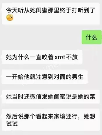 论文