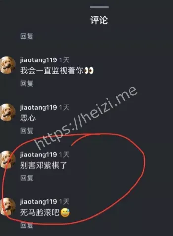 邓紫棋