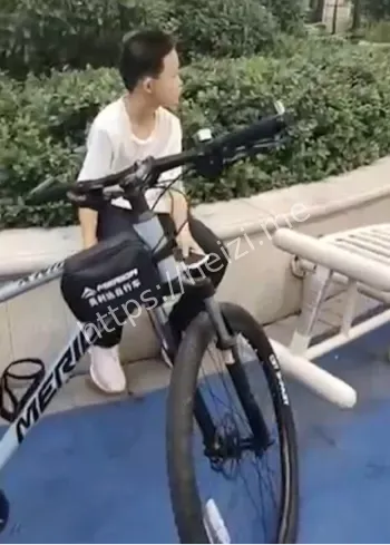 沈阳涉霸凌行政处罚细节