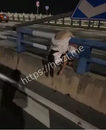 夜间弯道路段风险控制