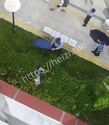 上海杉达学院坠楼事件内幕