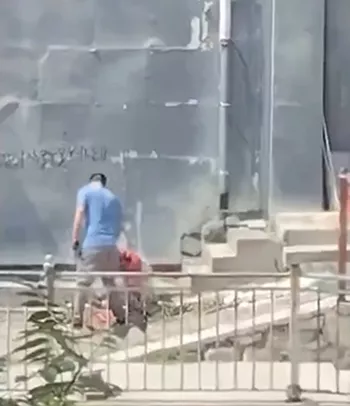 出轨离婚