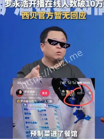 罗永浩资产转移