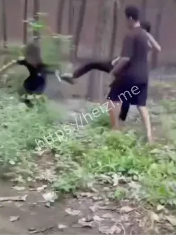 两个少年施暴内幕