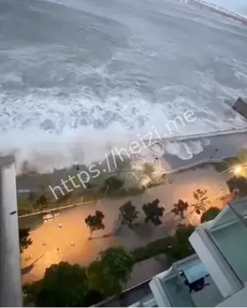 台风过后清淤与消杀