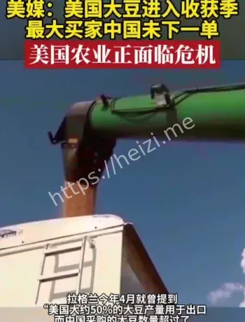 美大豆收获季零订单