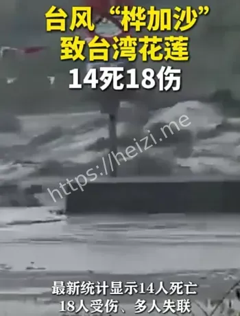 桦加沙台湾14死18伤