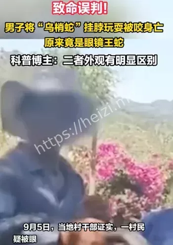 野生蛇类危险