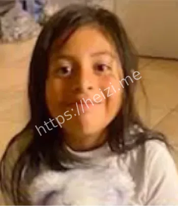 寿山村别墅自杀案