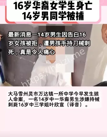 雪兰莪万达镇血案