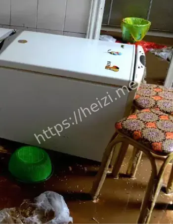 秦伟包养小三杀人藏尸真相