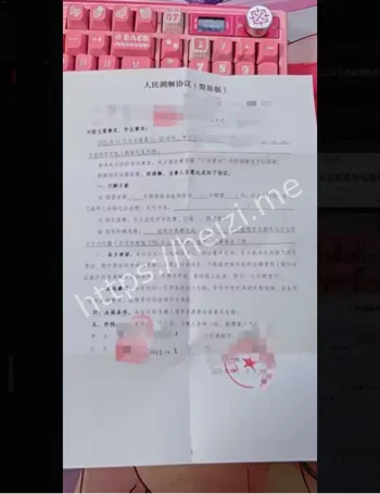 宅男洛天依娃娃室友侵犯