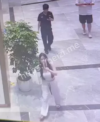 杭州赵某凤卖淫翻车