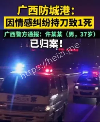 广西防城港许某某孙某某持刀致死事件