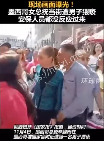墨西哥女总统当街遭男子猥亵亲吻