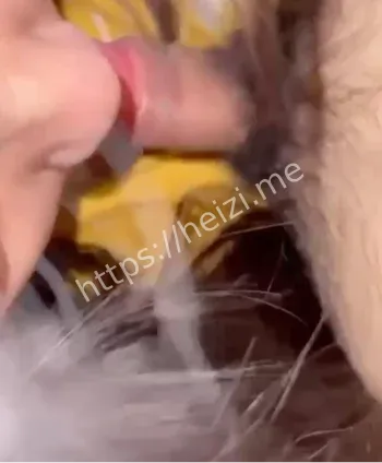 虚拟偶像流量帝国崩盘