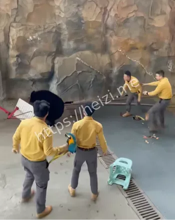 杭州野生动物世界