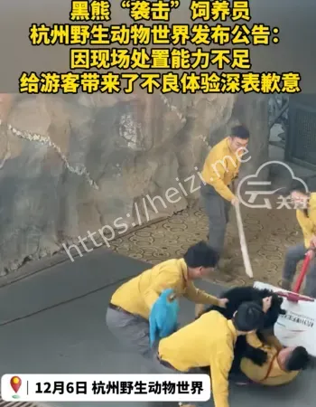 黑熊袭击饲养员