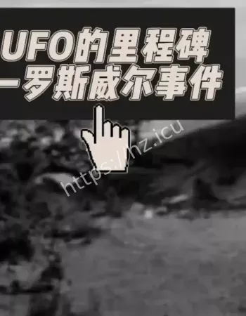 农场发现银色残骸