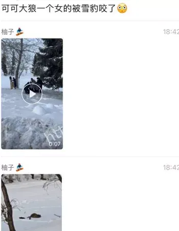 可可西里